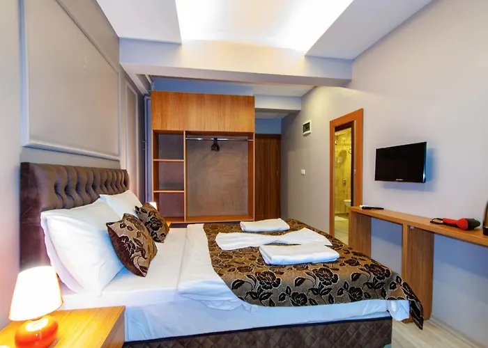 Hotel Naz Old Bazaar 3*